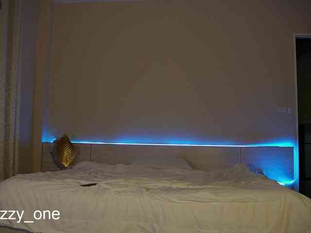 Nastyu-sha webcam