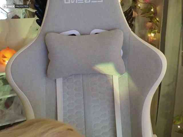 ballerina_capuchina webcam