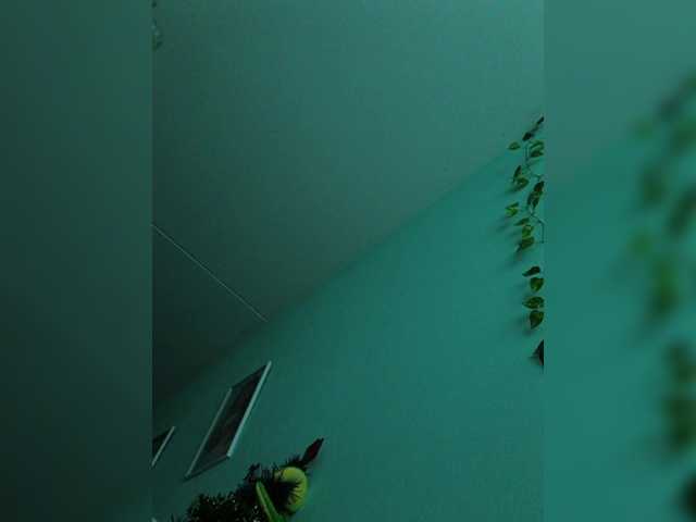 VeraVerba webcam