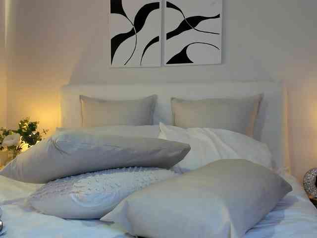 Cinnamon-Lips webcam