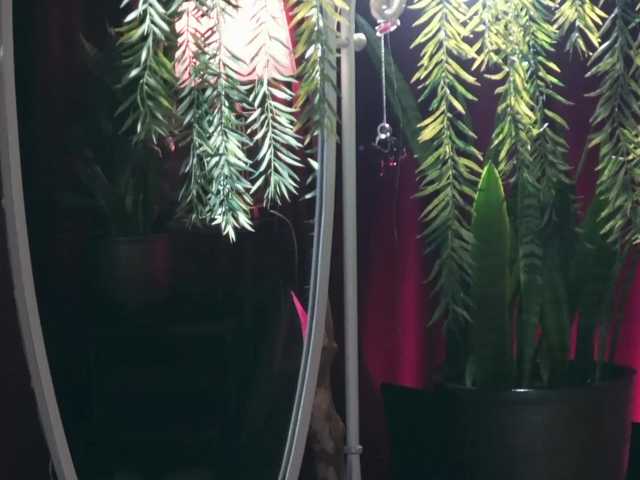 Gratis Live Sexcam mit MiaVebes MiaVebes