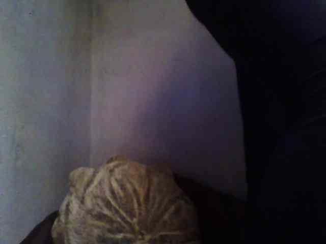 ---kisa25_ webcam