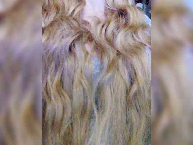 TPAXATb-B-MENU webcam