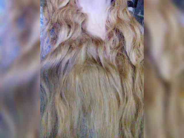 TPAXATb-B-MENU webcam