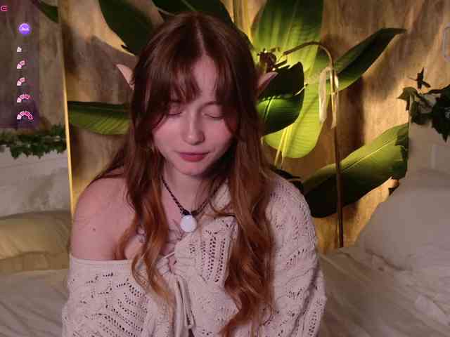 YoPixie webcam