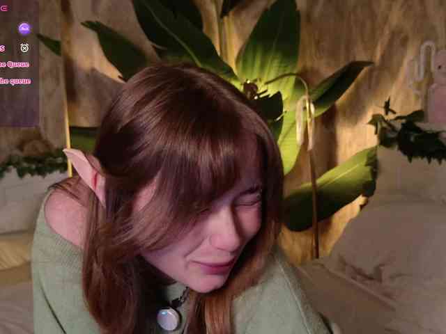 YoPixie webcam