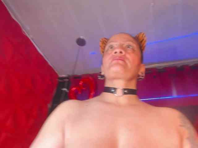 taylorhardcor webcam