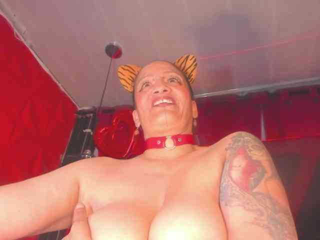 taylorhardcor webcam