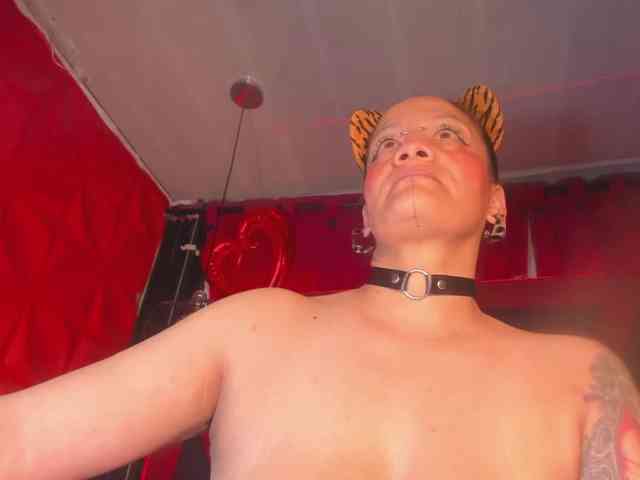 taylorhardcor webcam