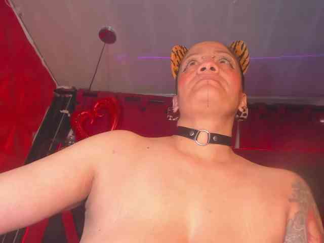 taylorhardcor webcam