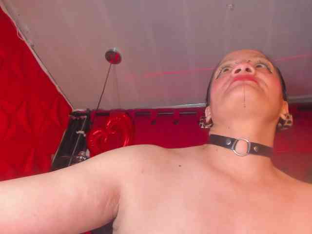 taylorhardcor webcam