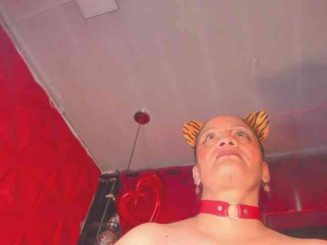 taylorhardcor webcam