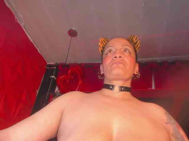 taylorhardcor webcam