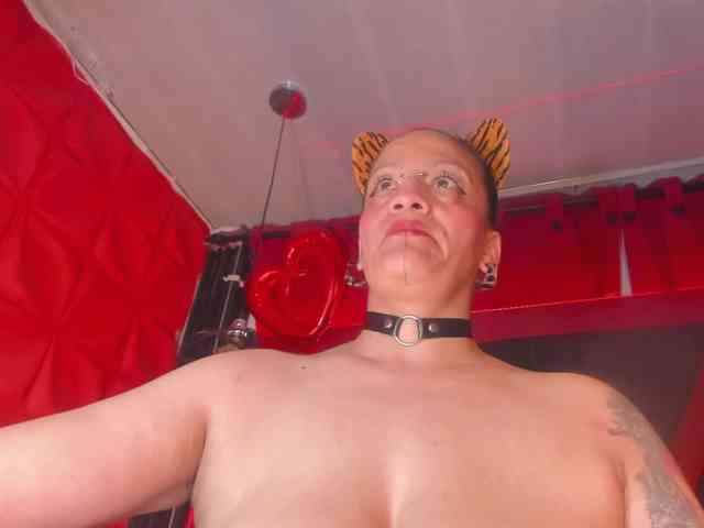 taylorhardcor webcam