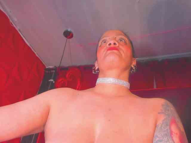 taylorhardcor webcam