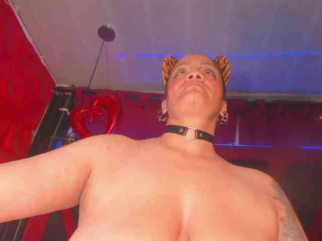 taylorhardcor webcam