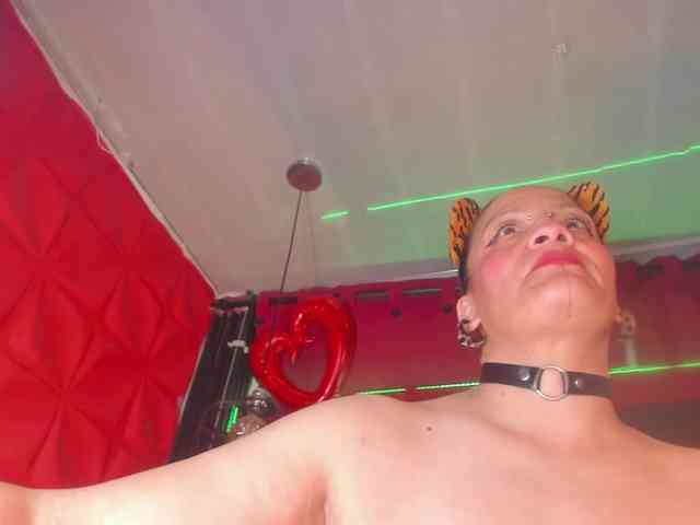 taylorhardcor webcam