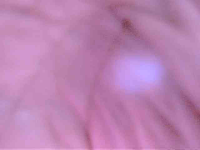 latinvalery webcam