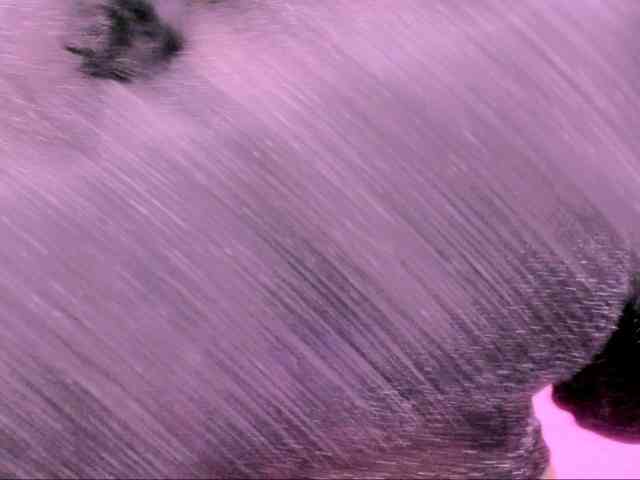 latinvalery webcam