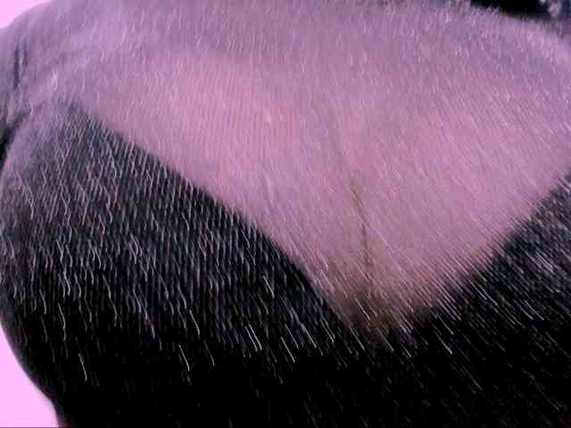 latinvalery webcam