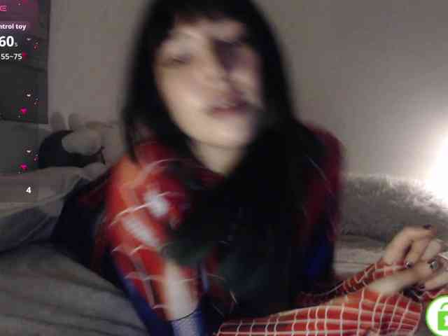 meko-hzu webcam