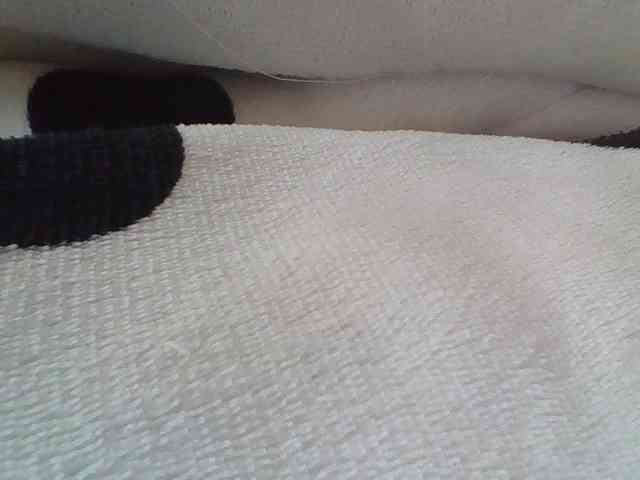 Blackmelanin1 webcam