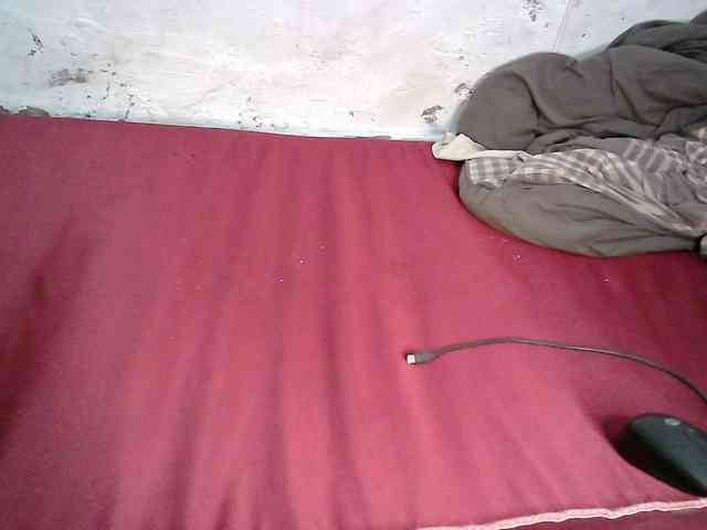 Sweet-Trizer webcam