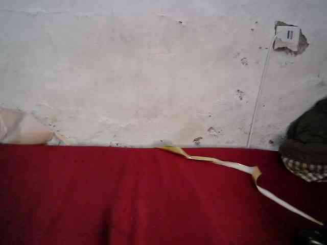Sweet-Trizer webcam