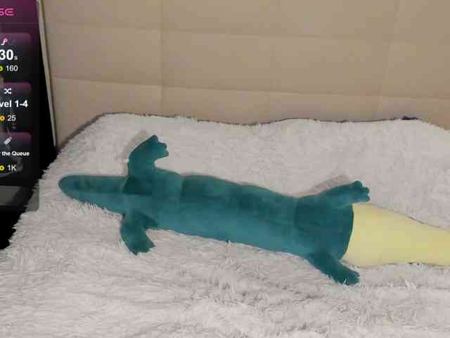 SilasCoraline webcam