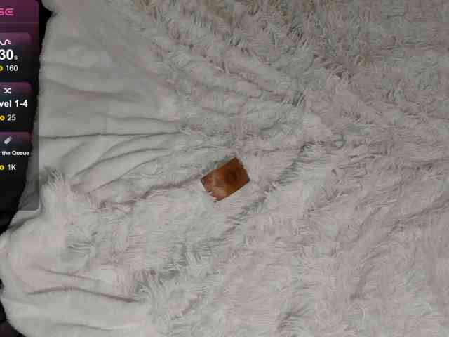 SilasCoraline webcam