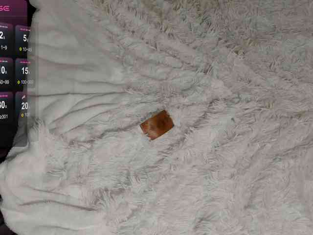 SilasCoraline webcam