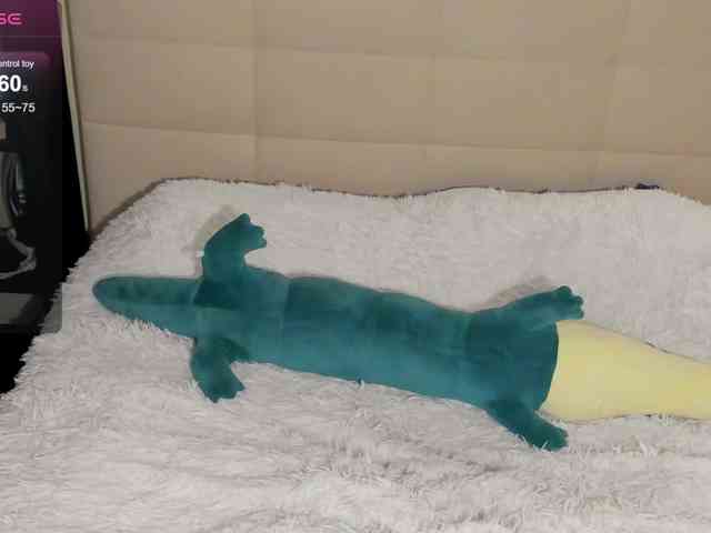 SilasCoraline webcam