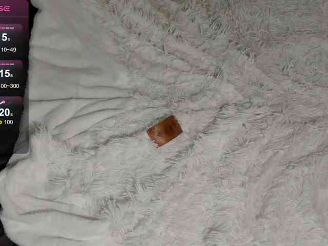 SilasCoraline webcam