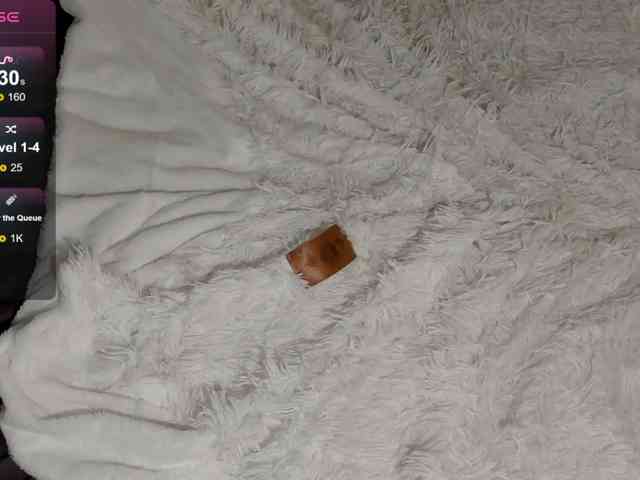 SilasCoraline webcam