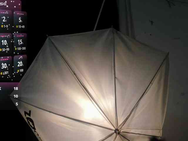 latinaStepStar webcam