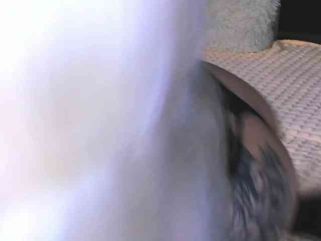 Sweeet-Barbie webcam