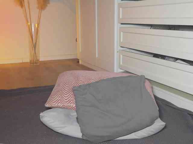 HotBella webcam