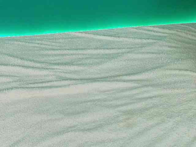 Emma-Donovani webcam