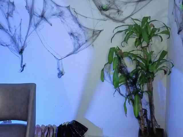 venusjade webcam