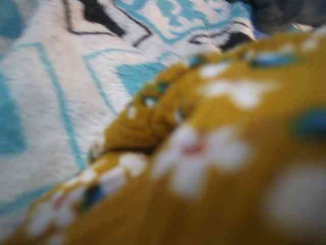 atalaya31 webcam