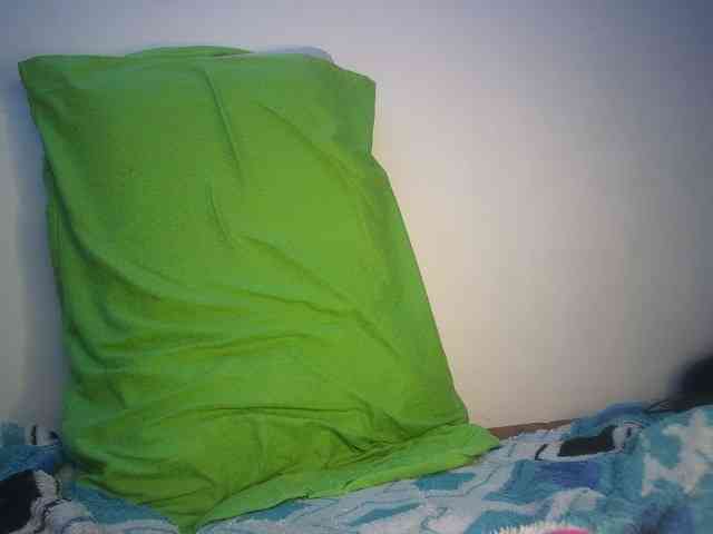 atalaya31 webcam