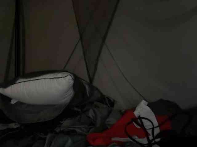 DelightfulDark webcam