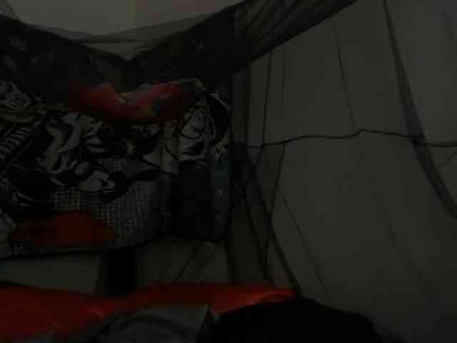 DelightfulDark webcam