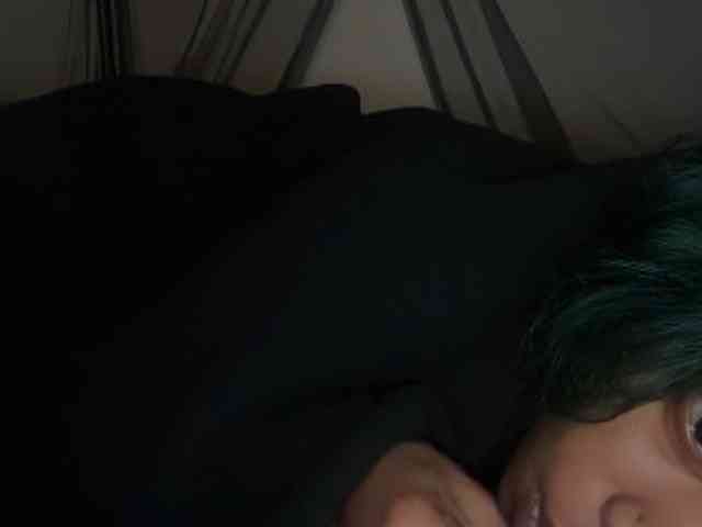 DelightfulDark webcam