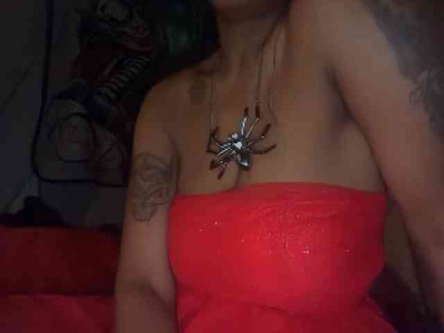 DelightfulDark webcam