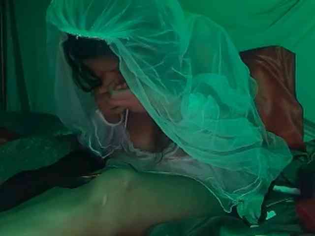 DelightfulDark webcam