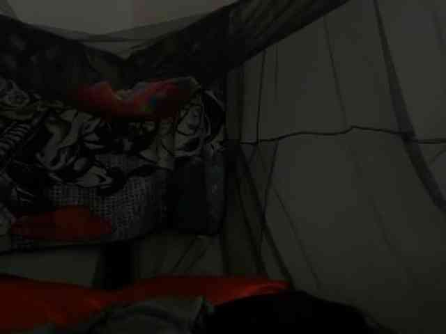 DelightfulDark webcam