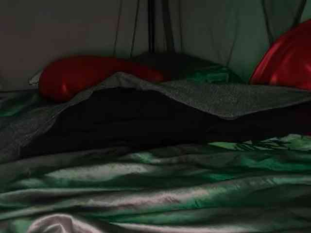 DelightfulDark webcam