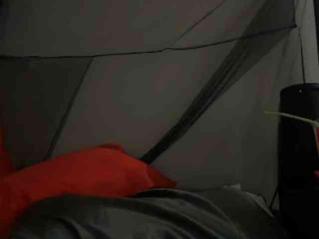 DelightfulDark webcam