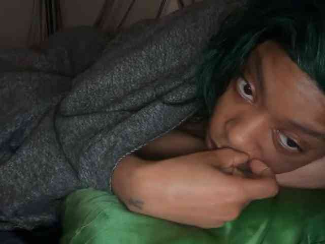 DelightfulDark webcam